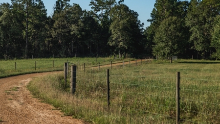 Golden Pines Ranch 235 Acres in Stone County MS - image 45