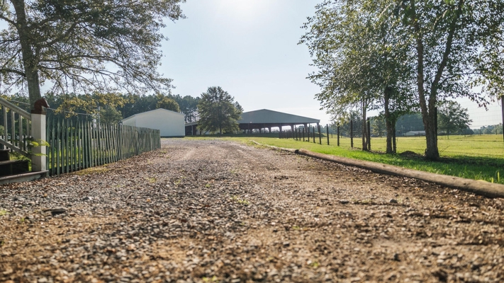 Golden Pines Ranch 235 Acres in Stone County MS