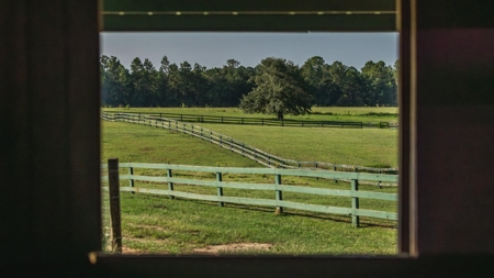 Golden Pines Ranch 235 Acres in Stone County MS - image 32