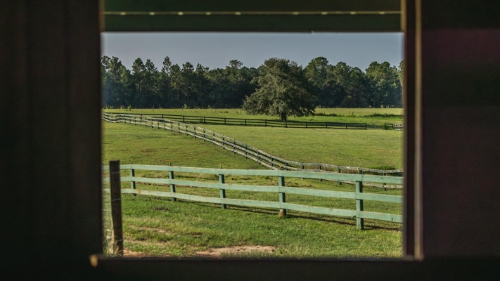 Golden Pines Ranch 235 Acres in Stone County MS