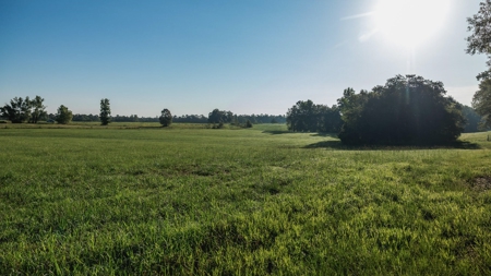 Golden Pines Ranch 235 Acres in Stone County MS - image 43