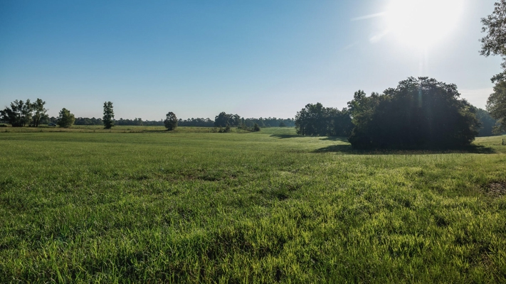 Golden Pines Ranch 235 Acres in Stone County MS
