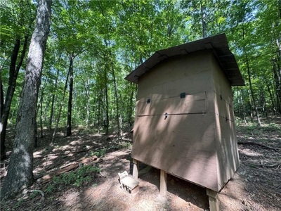Prime Northwest Ar 40 Ac Madison County Hunting Land For Sale - image 13