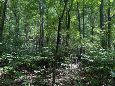 Prime Northwest Ar 40 Ac Madison County Hunting Land For Sale - image 24