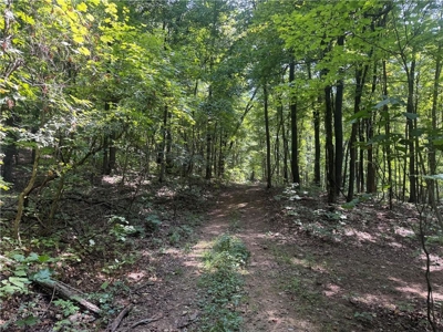 Prime Northwest Ar 40 Ac Madison County Hunting Land For Sale - image 1