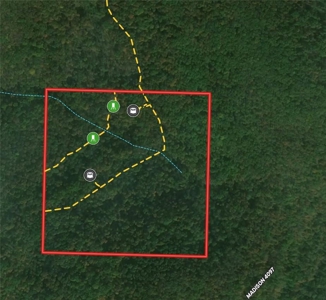 Prime Northwest Ar 40 Ac Madison County Hunting Land For Sale - image 27