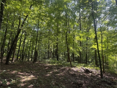 Prime Northwest Ar 40 Ac Madison County Hunting Land For Sale - image 18