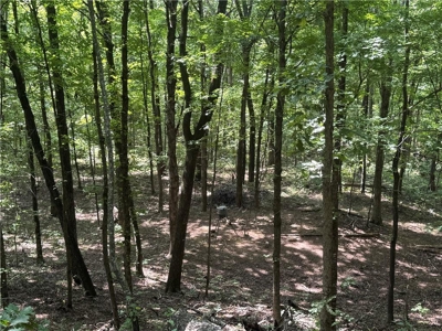 Prime Northwest Ar 40 Ac Madison County Hunting Land For Sale - image 25
