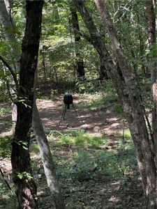 Prime Northwest Ar 40 Ac Madison County Hunting Land For Sale - image 22