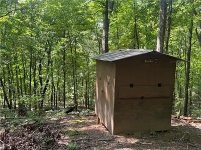 Prime Northwest Ar 40 Ac Madison County Hunting Land For Sale - image 12