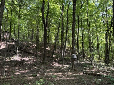 Prime Northwest Ar 40 Ac Madison County Hunting Land For Sale - image 11