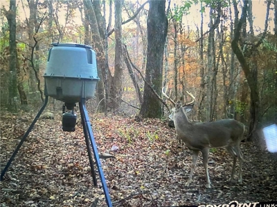 Prime Northwest Ar 40 Ac Madison County Hunting Land For Sale - image 5