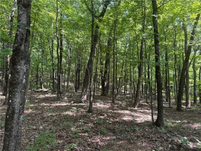 Prime Northwest Ar 40 Ac Madison County Hunting Land For Sale - image 17