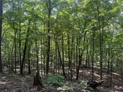 Prime Northwest Ar 40 Ac Madison County Hunting Land For Sale - image 10