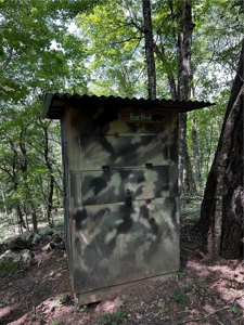 Prime Northwest Ar 40 Ac Madison County Hunting Land For Sale - image 20