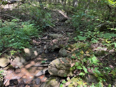 Prime Northwest Ar 40 Ac Madison County Hunting Land For Sale - image 16