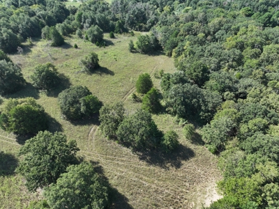 Unrestricted 57 Acres on CR 935 – Build, Hunt, or Ranch - image 24