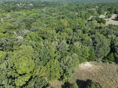 Unrestricted 57 Acres on CR 935 – Build, Hunt, or Ranch - image 8