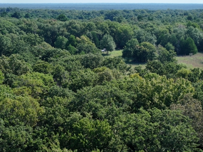 Unrestricted 57 Acres on CR 935 – Build, Hunt, or Ranch - image 28