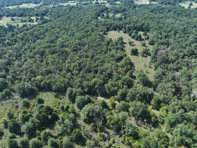 Unrestricted 57 Acres on CR 935 – Build, Hunt, or Ranch - image 20