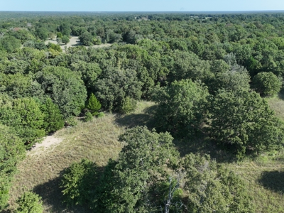 Unrestricted 57 Acres on CR 935 – Build, Hunt, or Ranch - image 2