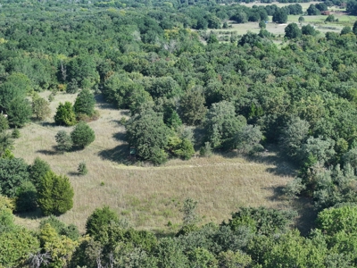 Unrestricted 57 Acres on CR 935 – Build, Hunt, or Ranch - image 14