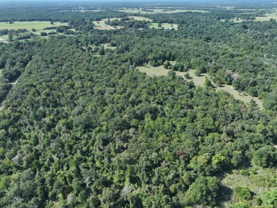 Unrestricted 57 Acres on CR 935 – Build, Hunt, or Ranch - image 19
