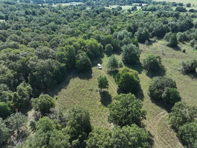Unrestricted 57 Acres on CR 935 – Build, Hunt, or Ranch - image 25