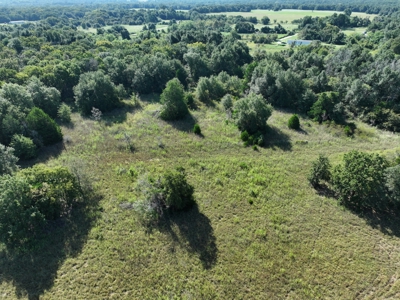 Unrestricted 57 Acres on CR 935 – Build, Hunt, or Ranch - image 4
