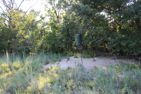 Unrestricted 57 Acres on CR 935 – Build, Hunt, or Ranch - image 35