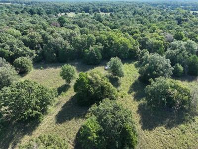 Unrestricted 57 Acres on CR 935 – Build, Hunt, or Ranch - image 6