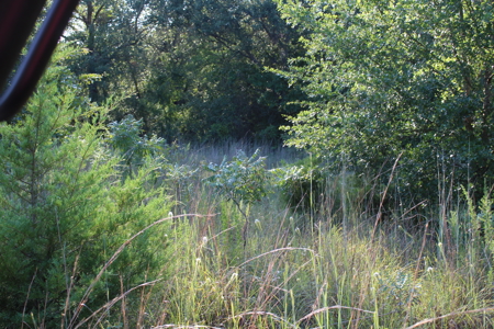 Unrestricted 57 Acres on CR 935 – Build, Hunt, or Ranch - image 32