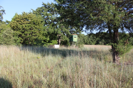 Unrestricted 57 Acres on CR 935 – Build, Hunt, or Ranch - image 36