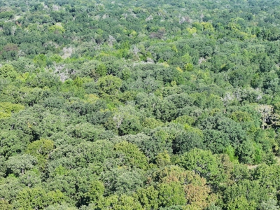 Unrestricted 57 Acres on CR 935 – Build, Hunt, or Ranch - image 15