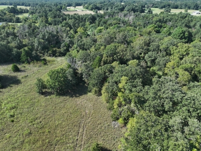 Unrestricted 57 Acres on CR 935 – Build, Hunt, or Ranch - image 3