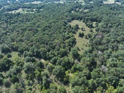 Unrestricted 57 Acres on CR 935 – Build, Hunt, or Ranch - image 21