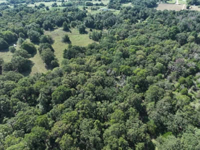 Unrestricted 57 Acres on CR 935 – Build, Hunt, or Ranch - image 23