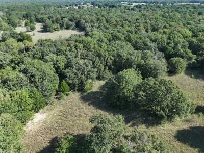 Unrestricted 57 Acres on CR 935 – Build, Hunt, or Ranch - image 7
