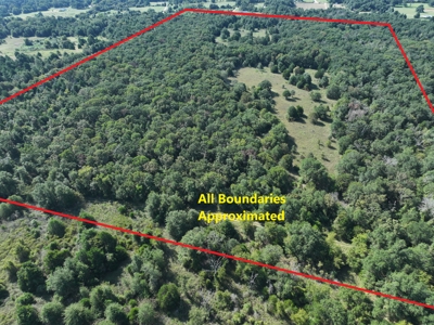 Unrestricted 57 Acres on CR 935 – Build, Hunt, or Ranch - image 1