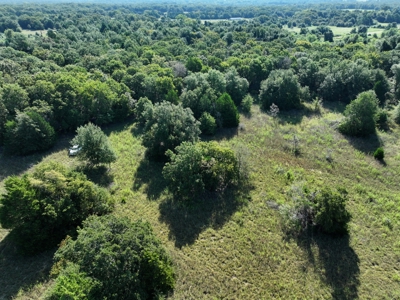 Unrestricted 57 Acres on CR 935 – Build, Hunt, or Ranch - image 5