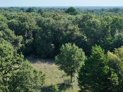 Unrestricted 57 Acres on CR 935 – Build, Hunt, or Ranch - image 12