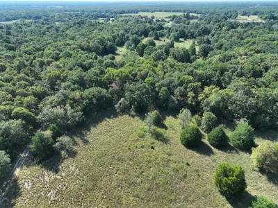 Unrestricted 57 Acres on CR 935 – Build, Hunt, or Ranch - image 22