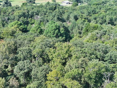 Unrestricted 57 Acres on CR 935 – Build, Hunt, or Ranch - image 9