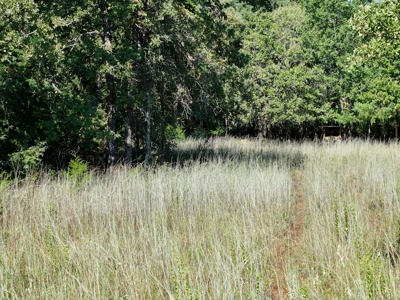 Unrestricted 57 Acres on CR 935 – Build, Hunt, or Ranch - image 18