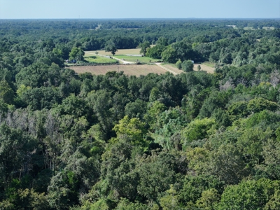 Unrestricted 57 Acres on CR 935 – Build, Hunt, or Ranch - image 10