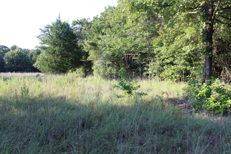 Unrestricted 57 Acres on CR 935 – Build, Hunt, or Ranch - image 37