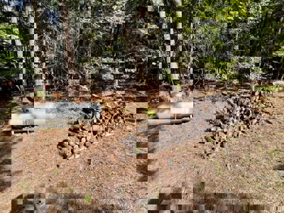 CABIN only 0.3 mi. to BAY SPRINGS LAKE - image 41