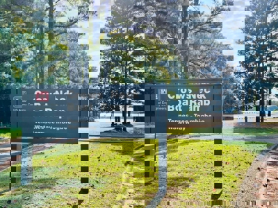 CABIN only 0.3 mi. to BAY SPRINGS LAKE - image 6