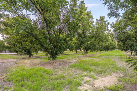 Luxury Estate for Sale in Mesilla, New Mexico - image 48