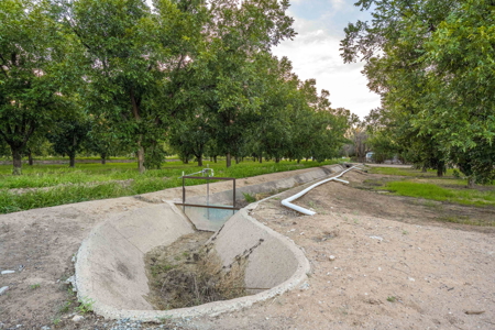 Luxury Estate for Sale in Mesilla, New Mexico - image 47